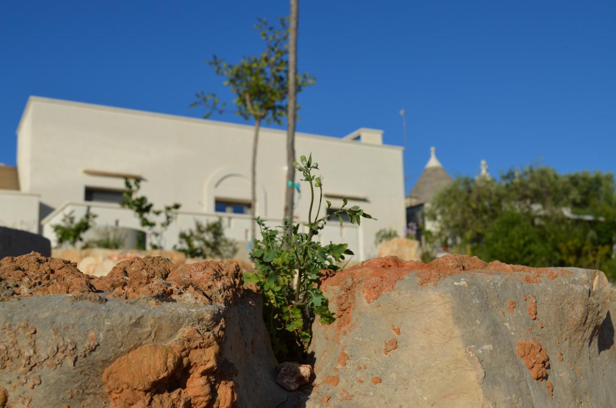 B&B Fuga Al Trullo Ostuni Exterior foto